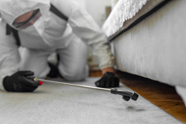 Professional Cockroach Control technician working in Algonquin, MD